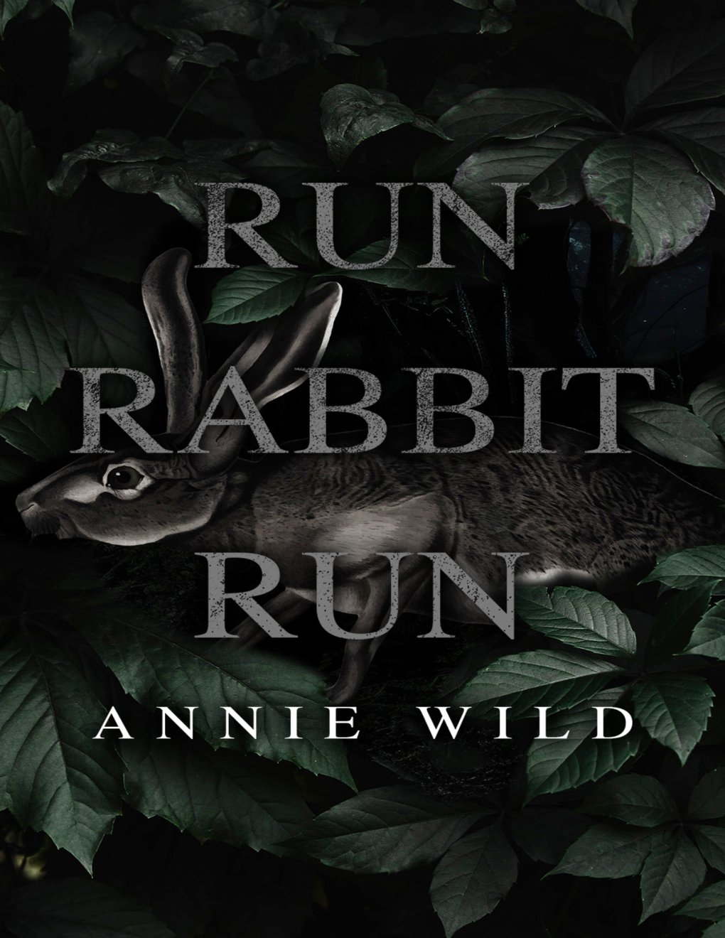 Cover of Run Rabbit Run: A Dark Stalker Romance