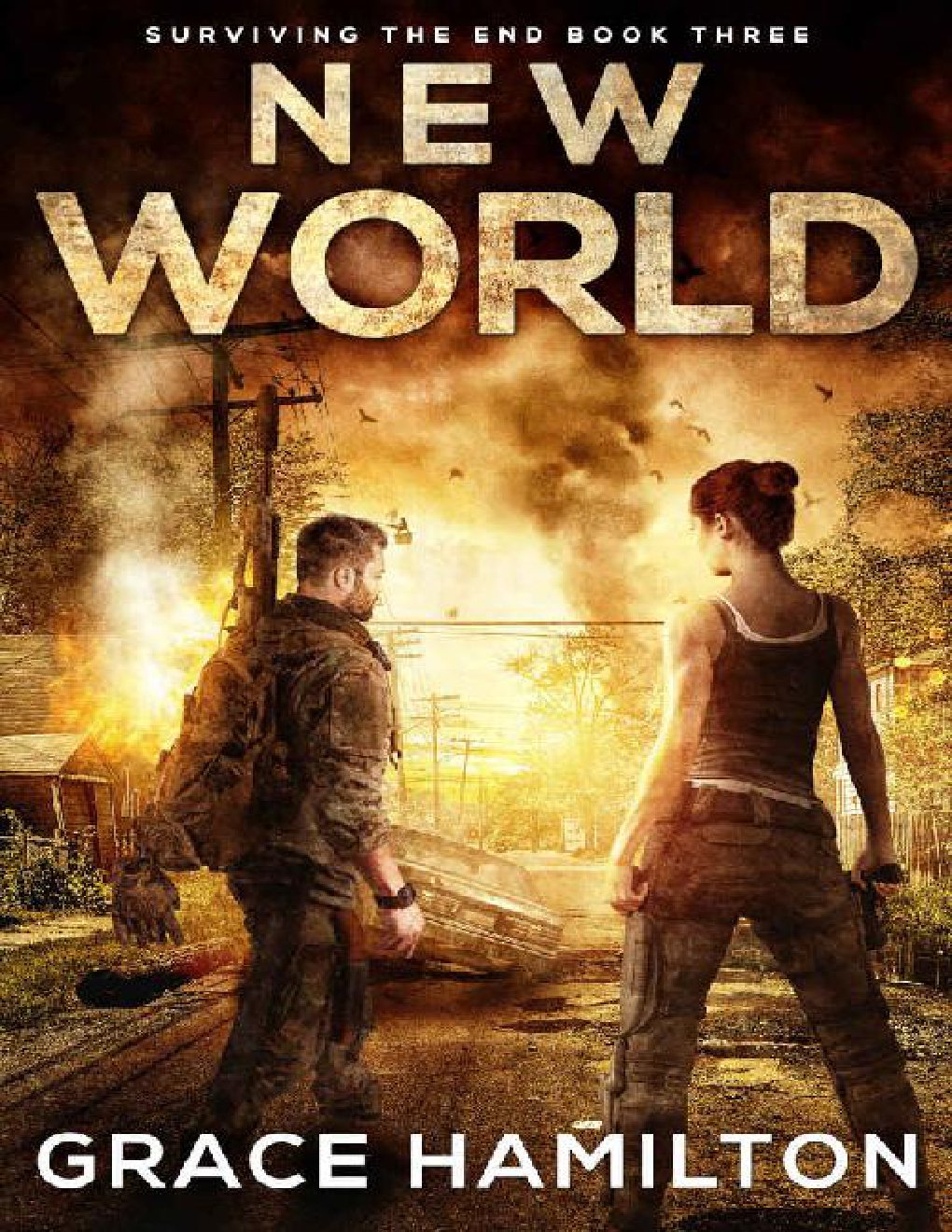 Cover of New World (Surviving the End Book 3)