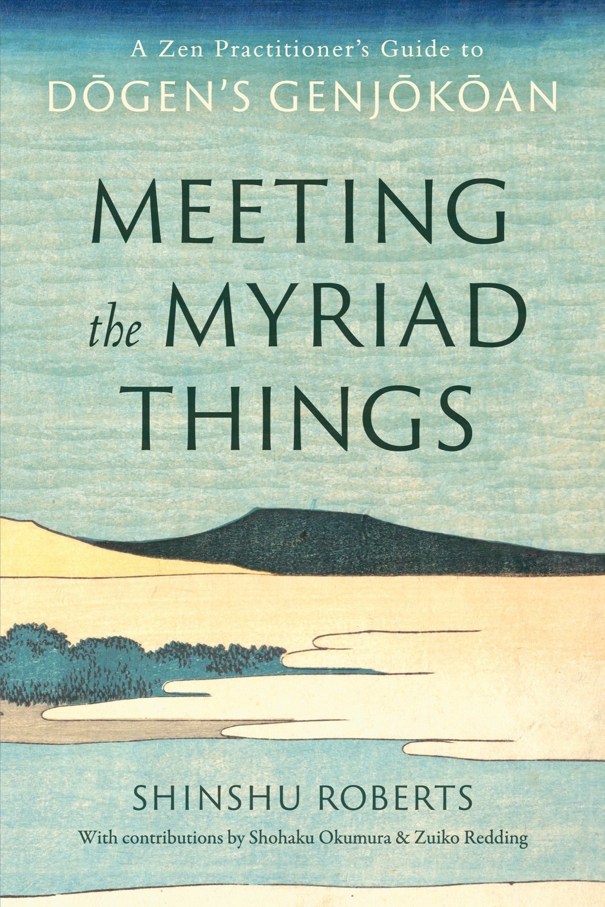 Cover of Meeting the My