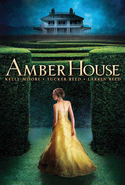 Cover of Amber House