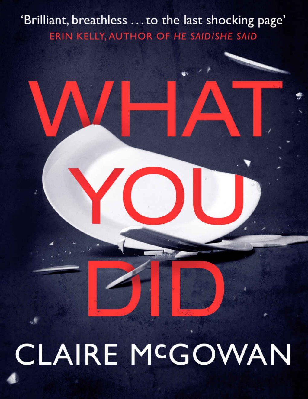 Cover of What You Did