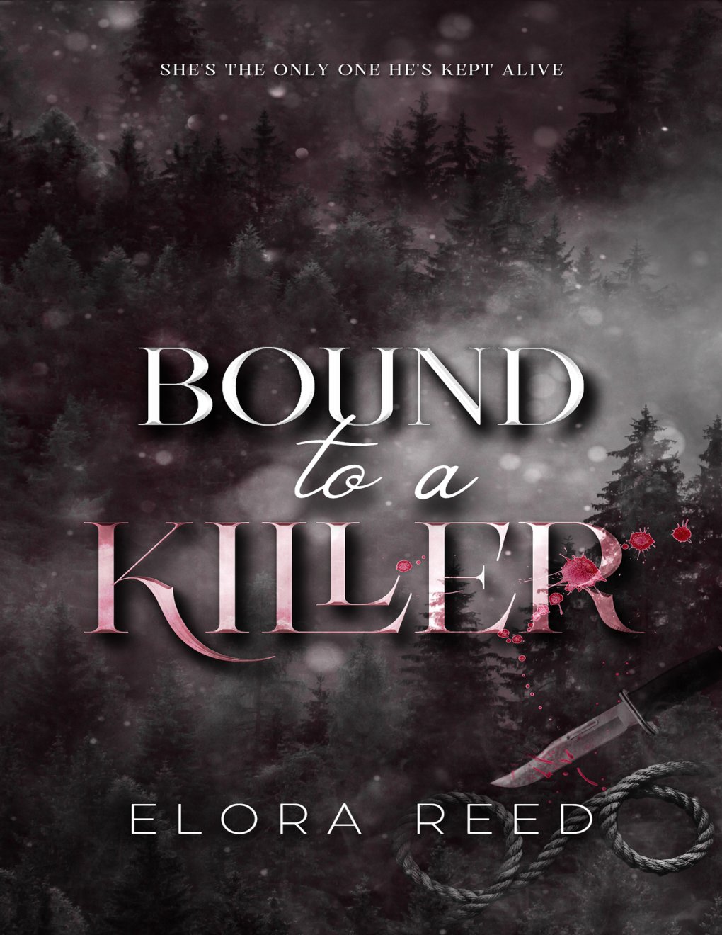 Cover of Bound to a Killer: A Dark Romance