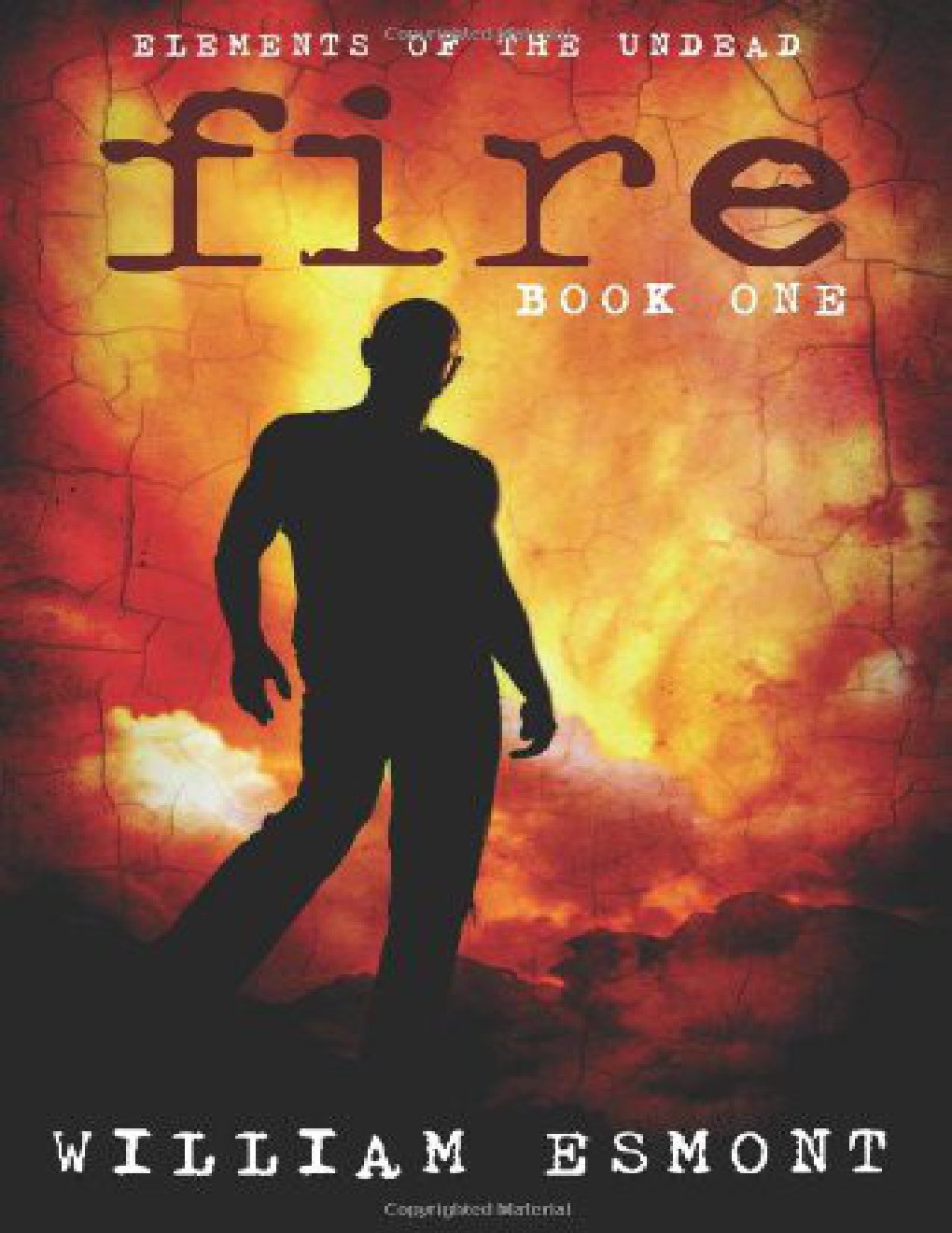 Cover of Fire