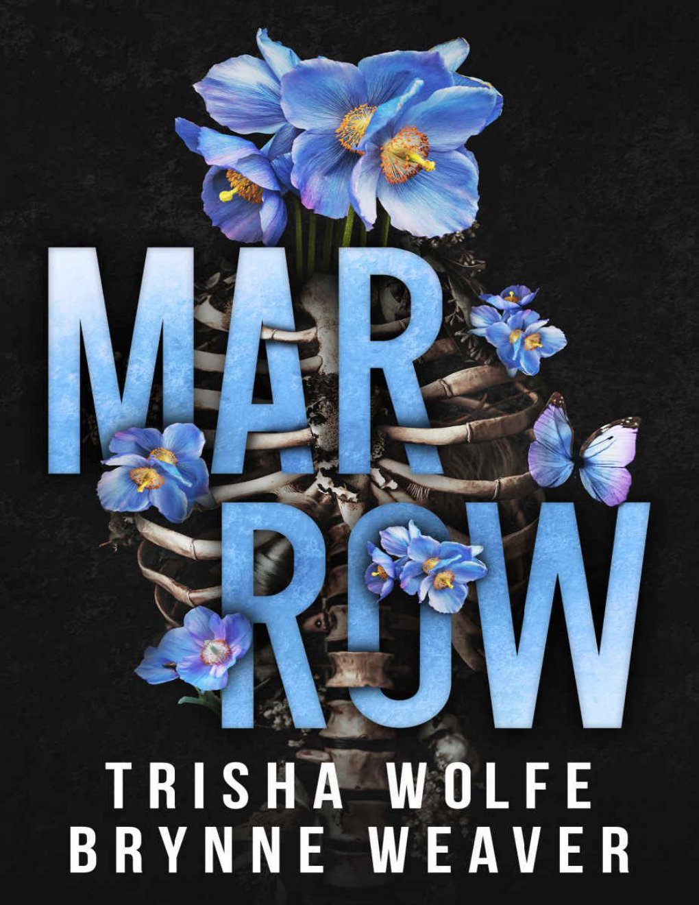 Cover of Marrow