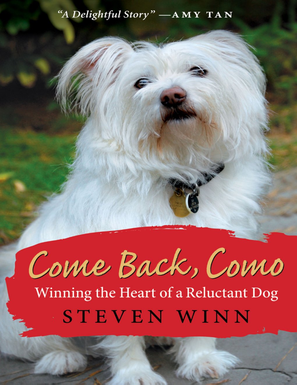 Cover of Come Back, Como