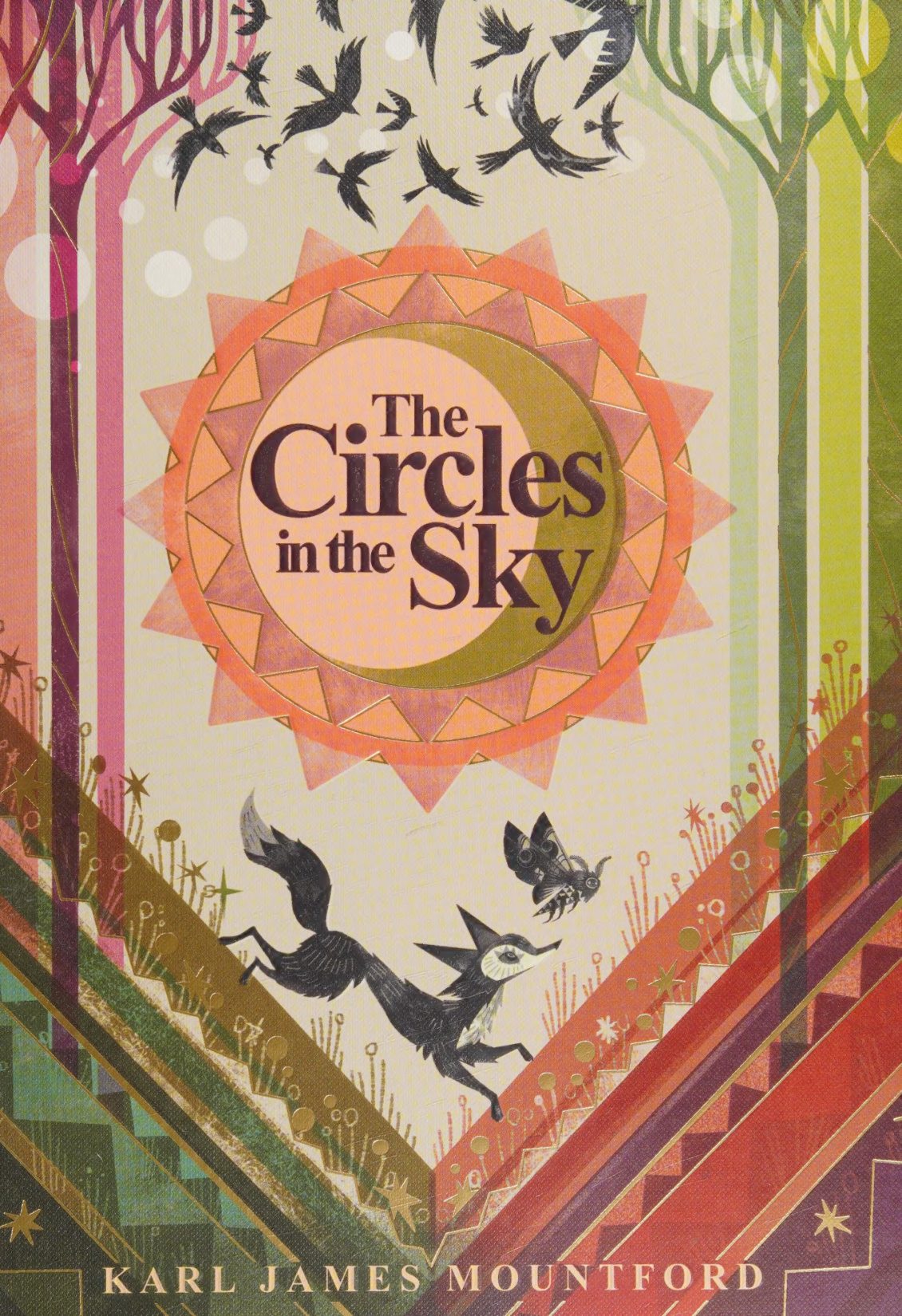 Cover of The circles in the sky (1529)