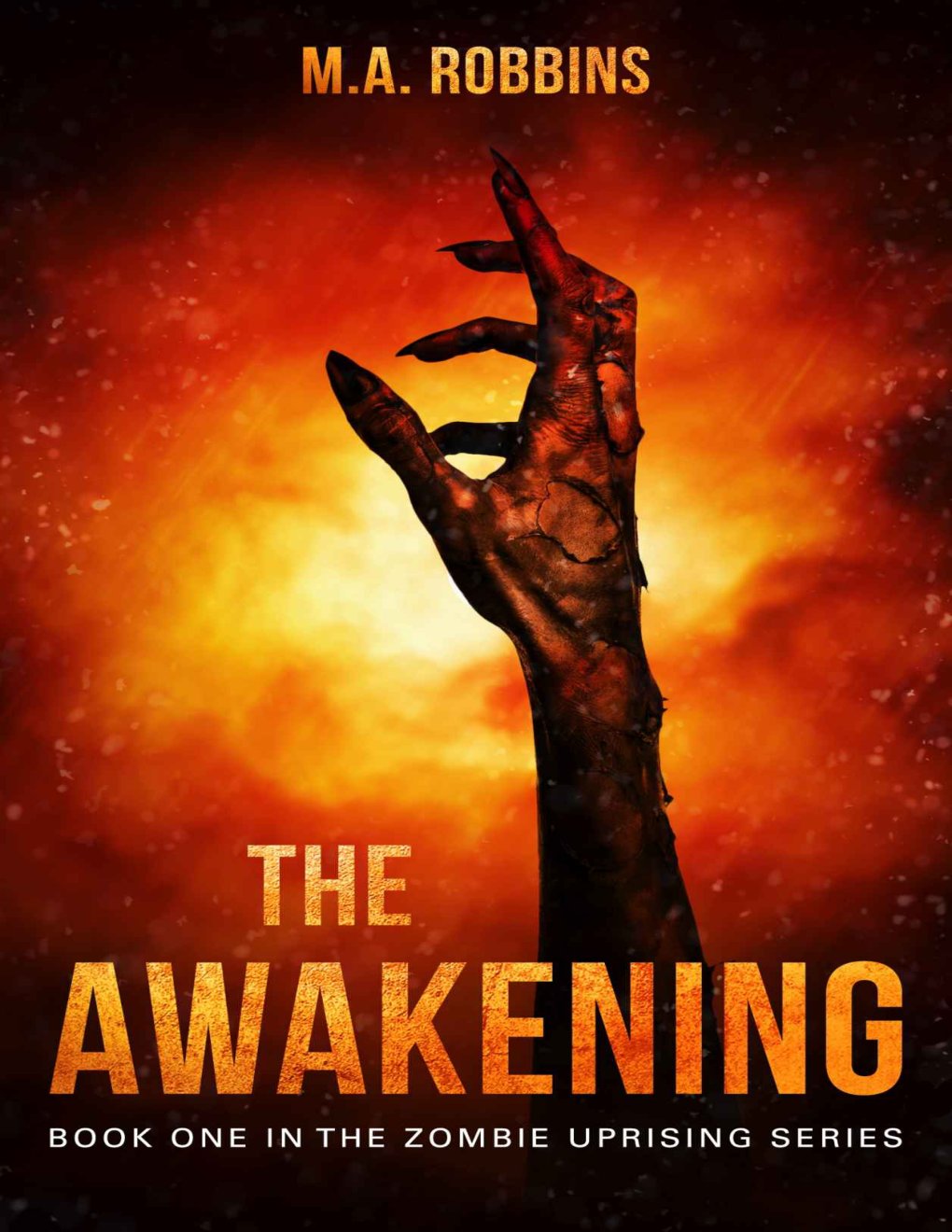 Cover of The Awakening