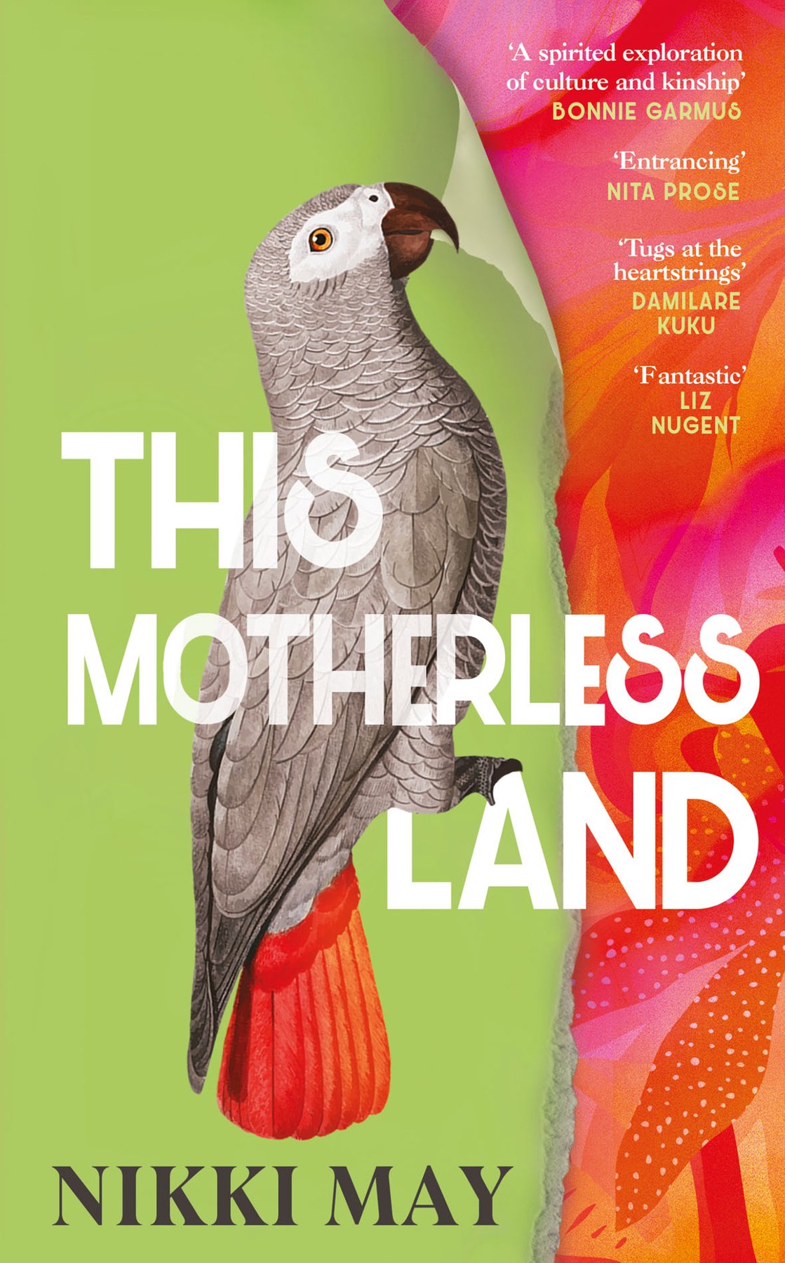 Cover of This Motherless Land