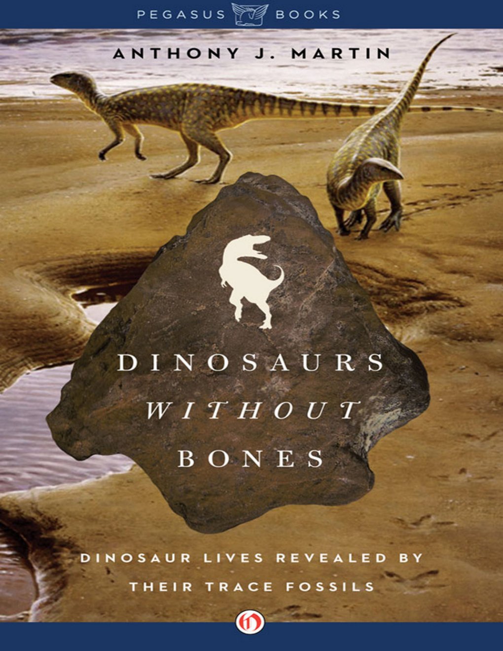 Cover of Dinosaurs Without Bones