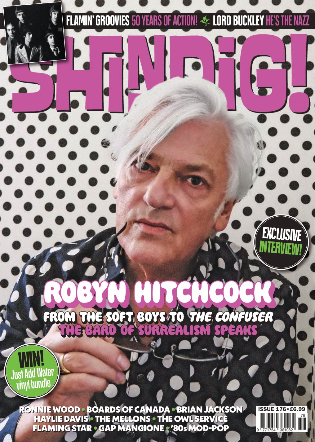 Cover of Shindig (2026)