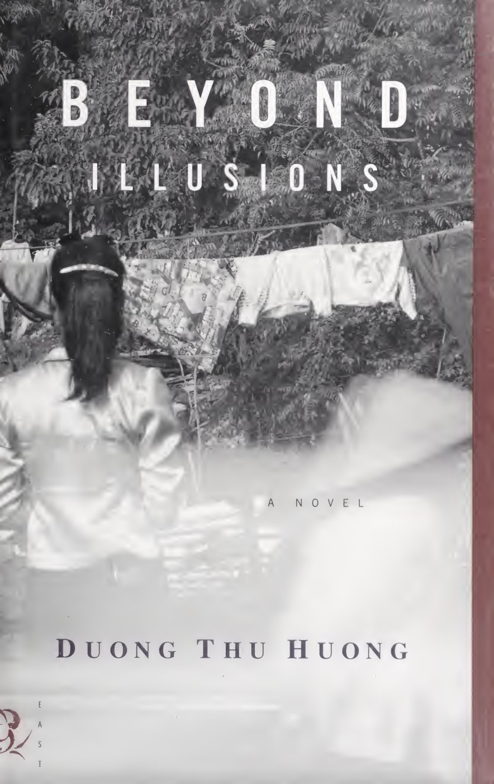 Cover of Beyond illusions