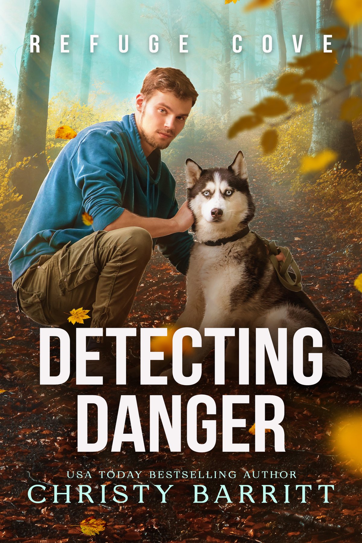 Cover of Detecting Danger (2026)