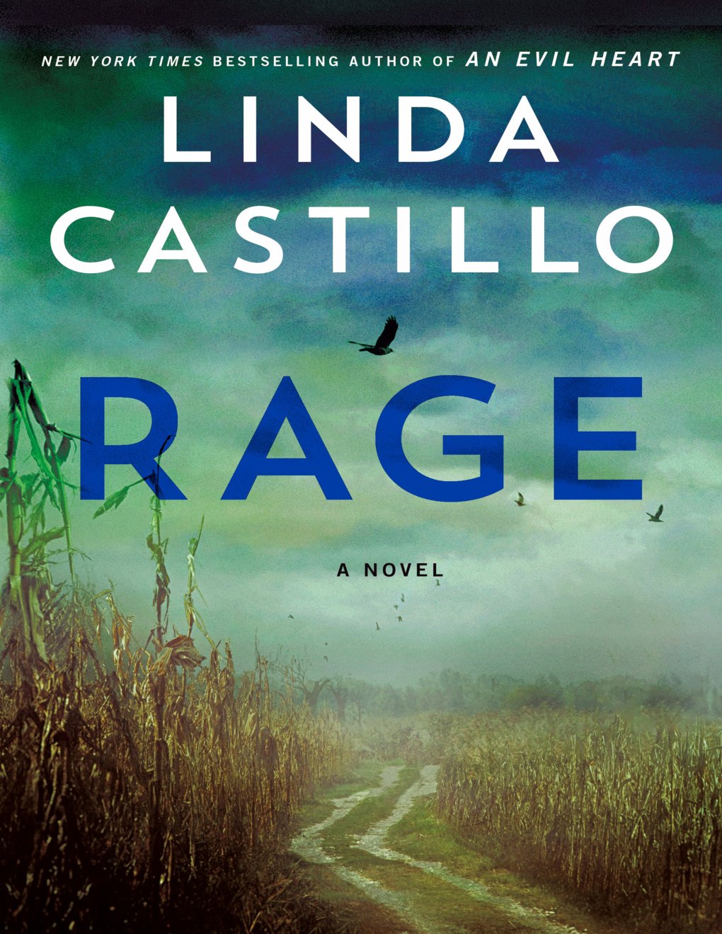 Cover of Rage: A Kate Burkholder Novel