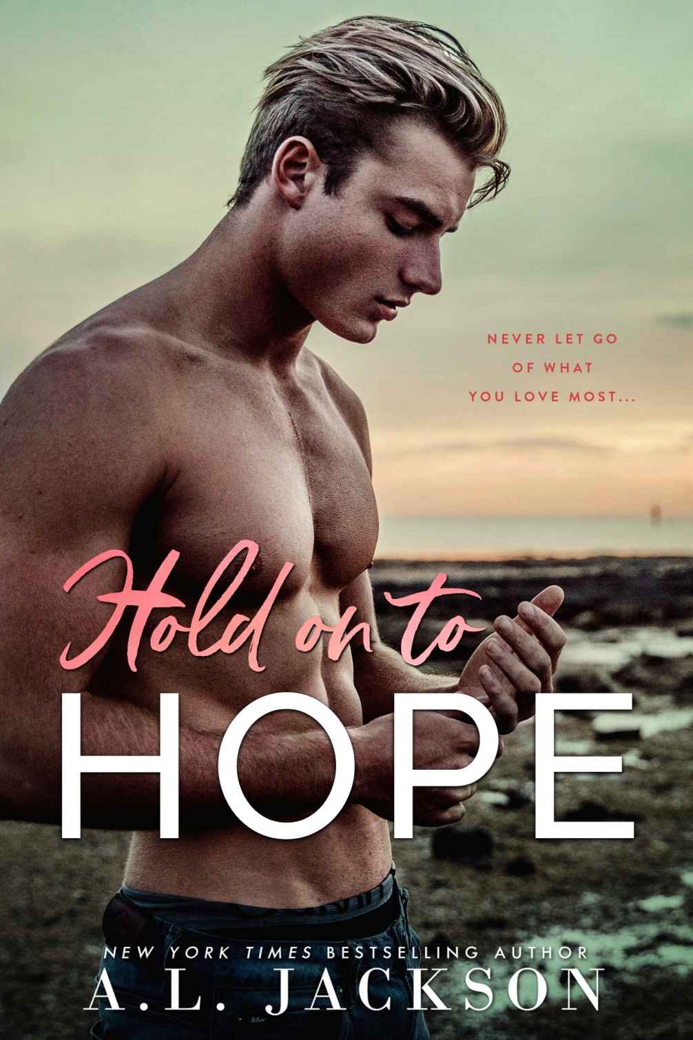 Cover of Hold on to Hope