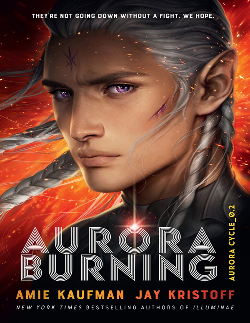 Cover of Aurora Burning- The Aurora Cycle 2