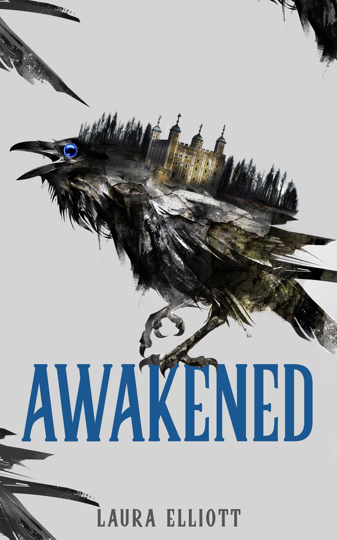 Cover of Awakened