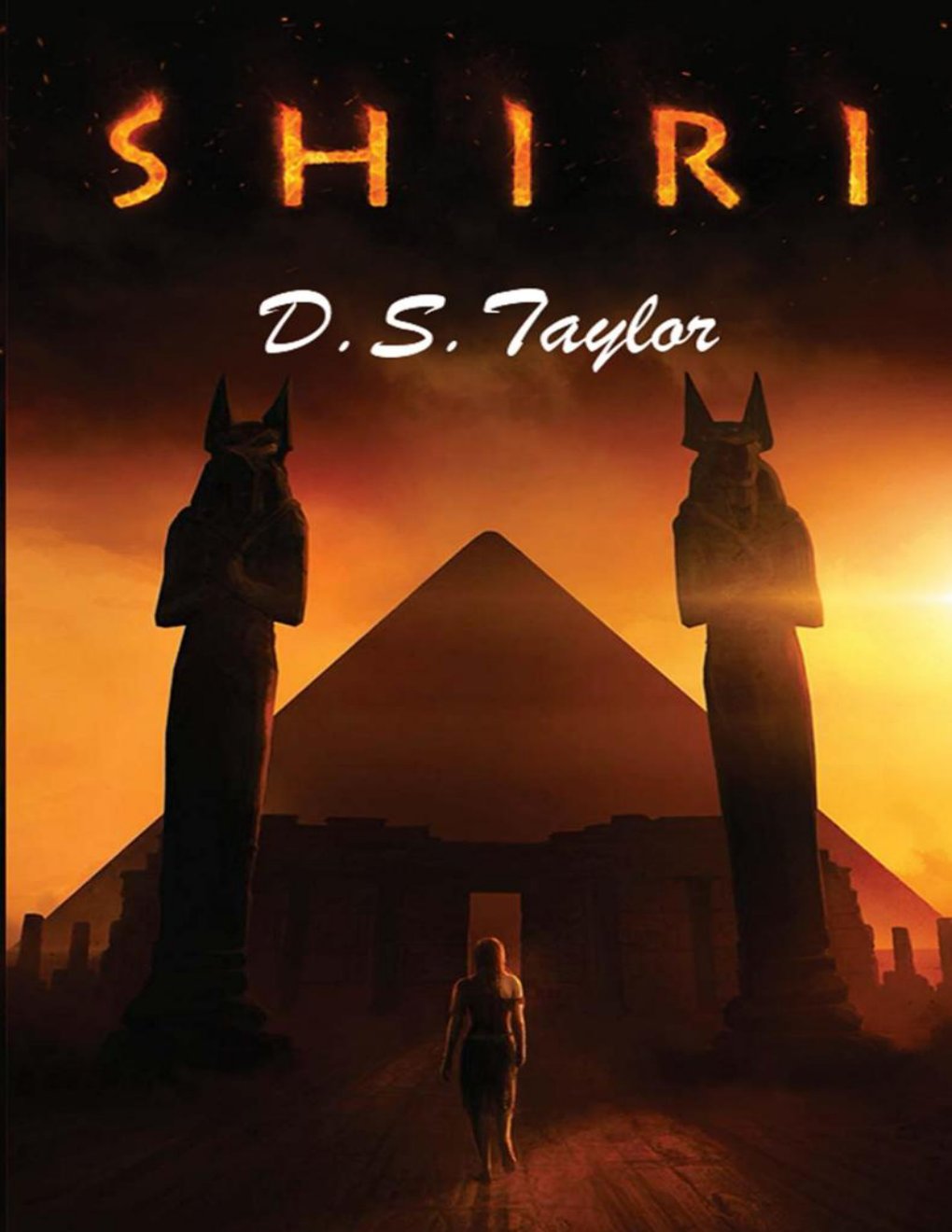 Cover of Shiri