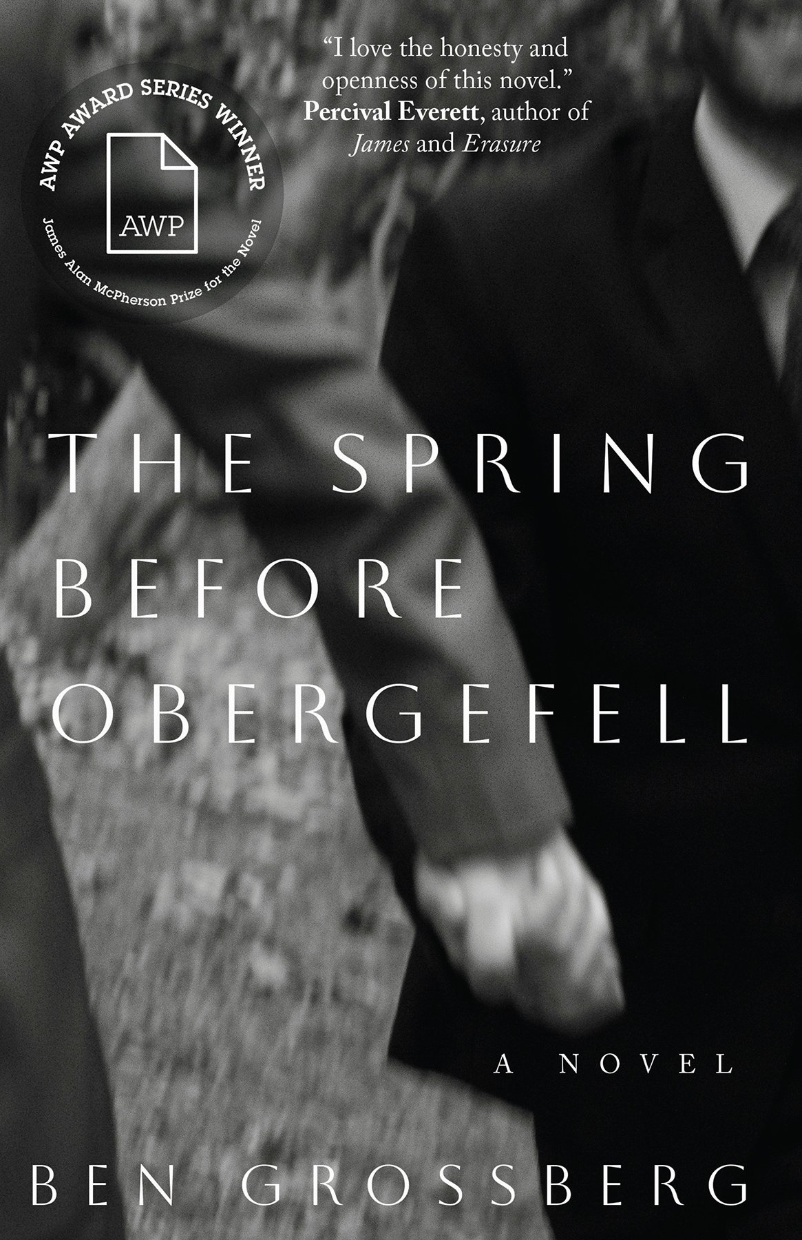 Cover of The Spring before Obergefell