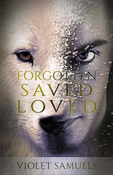 Cover of Forgotten, Saved, Loved