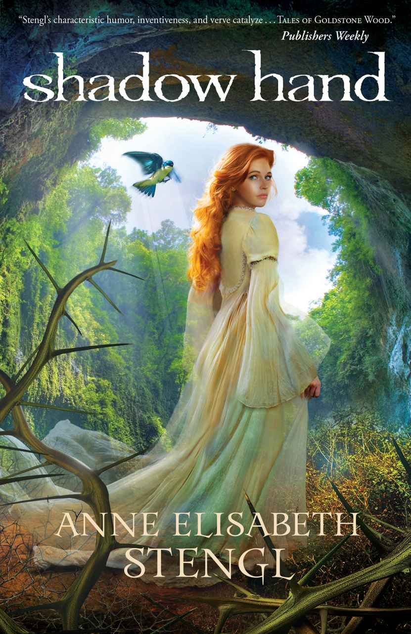 Cover of Shadow Hand (Tales of Goldstone Wood Book #6)
