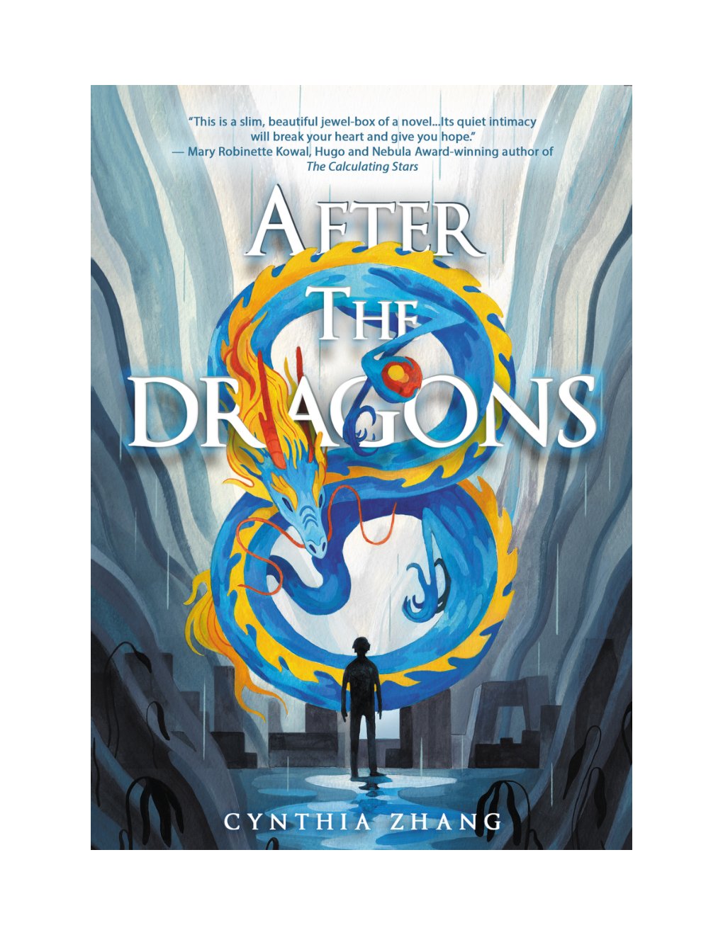 Cover of After the Dragons (1994)