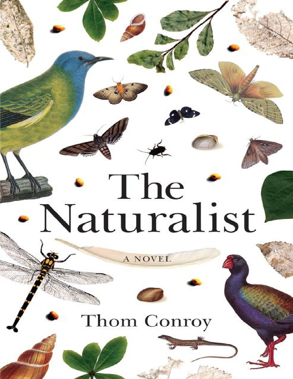 Cover of The Naturalist