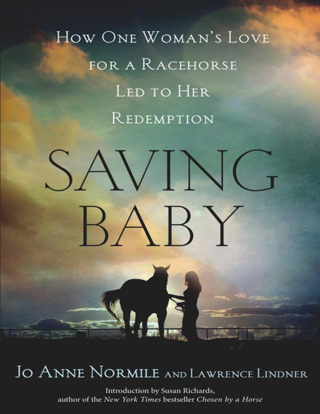 Cover of Saving Baby