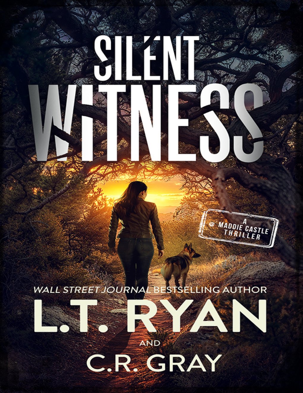 Cover of Silent Witness (Maddie Castle Book 9)