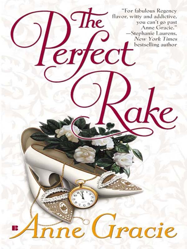 Cover of The Perfect Rake