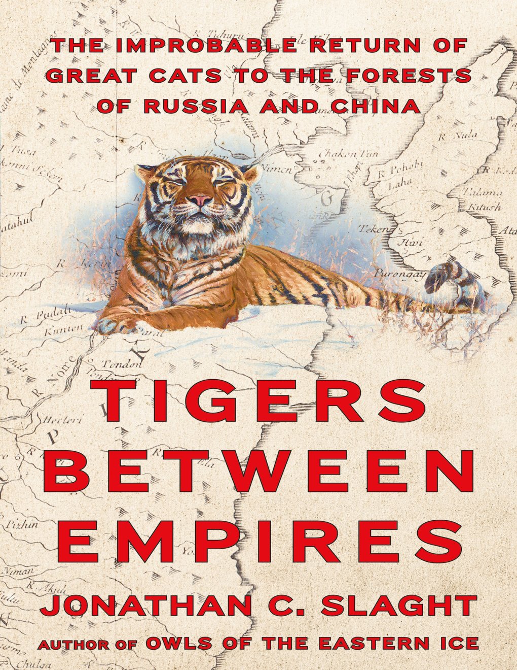 Cover of Tigers Between Empires: The Improbable Return of Great Cats to the Forests of Russia and China