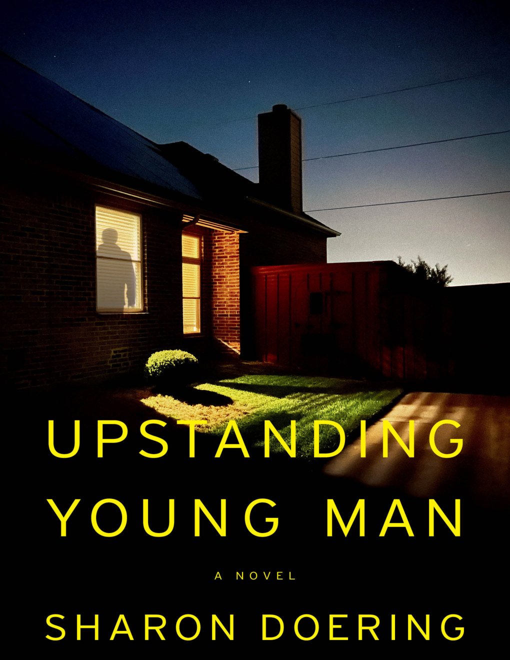 Cover of Upstanding Young Man