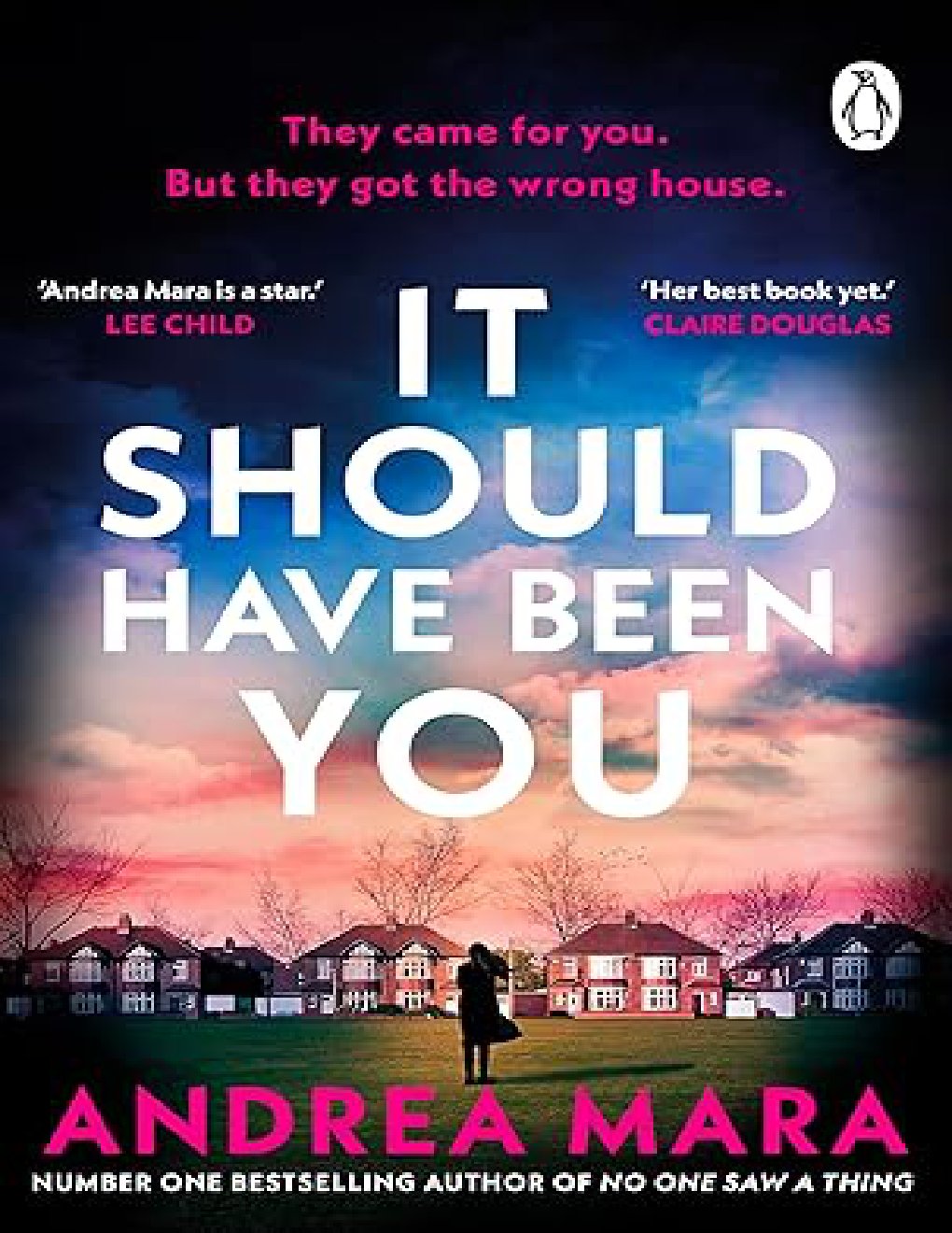Cover of It Should Have Been You