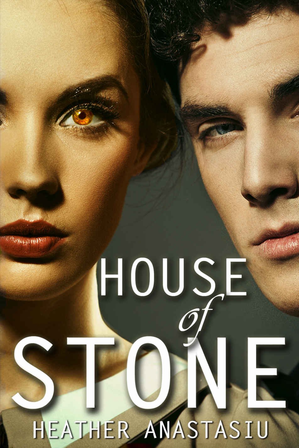 Cover of House of Stone