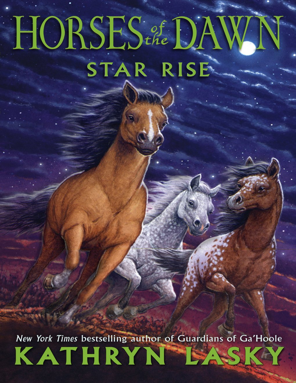 Cover of Star Rise