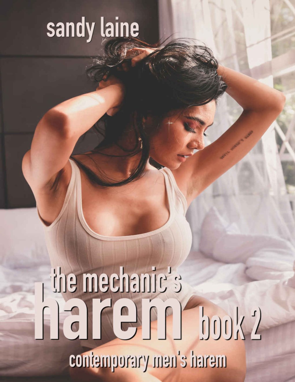 Cover of The Mechanic's Harem Book 2: Contemporary men's harem