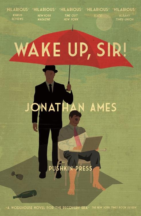Cover of Wake Up, Sir!