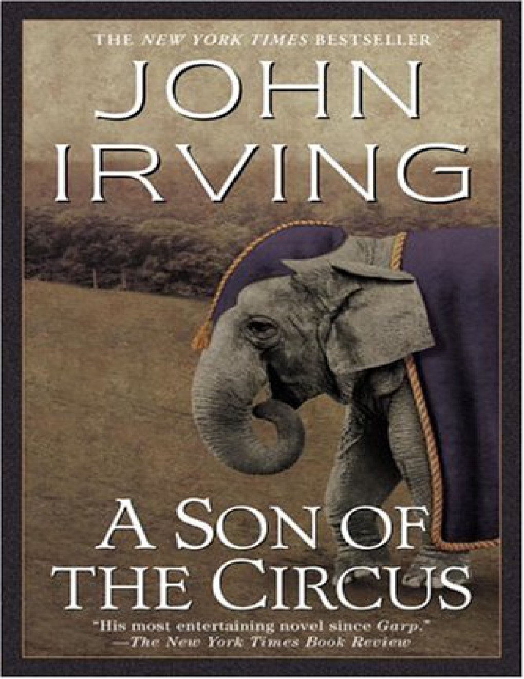Cover of A Son of the Circus (1969)