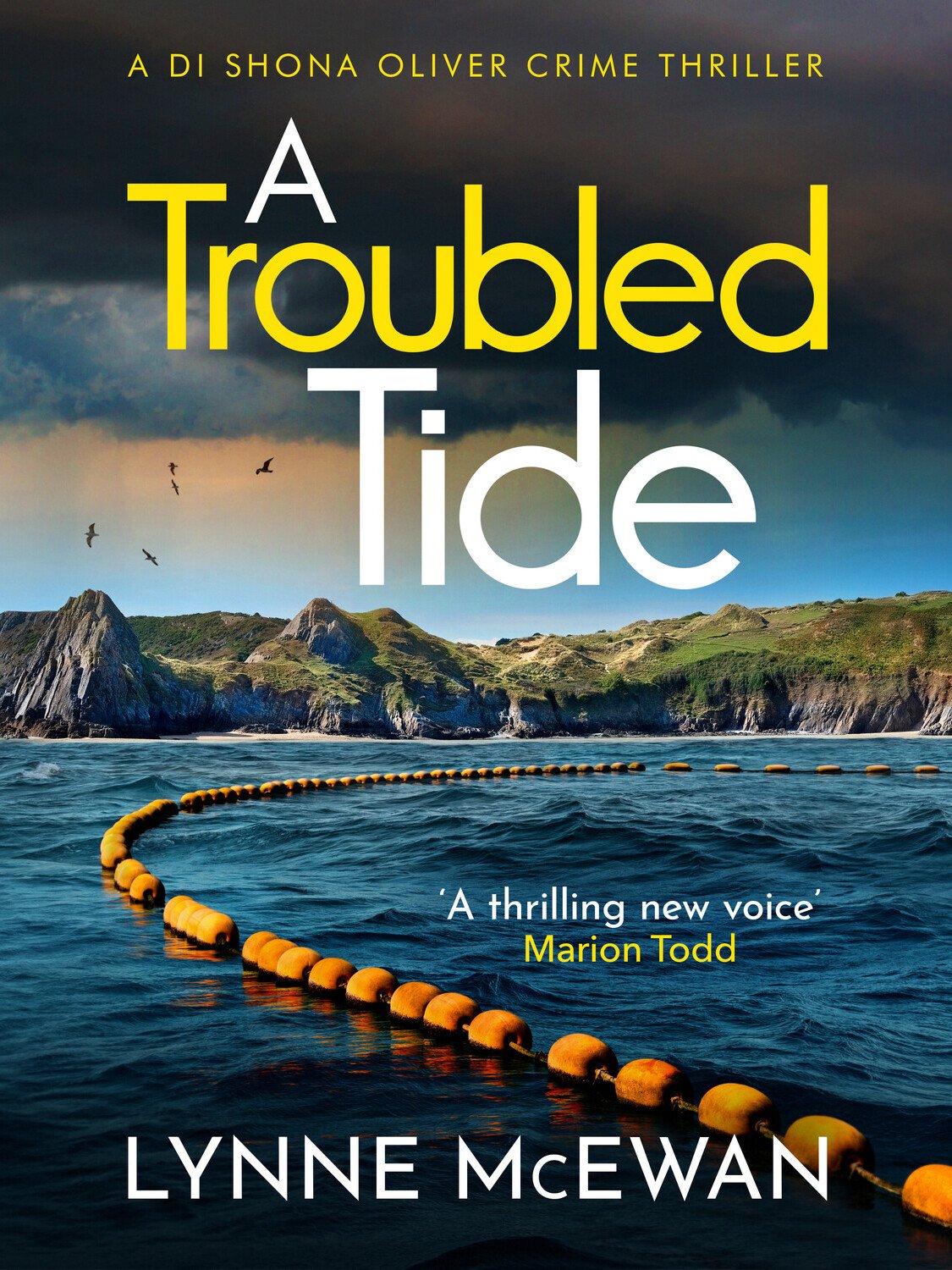 Cover of A Troubled Tide (2025)