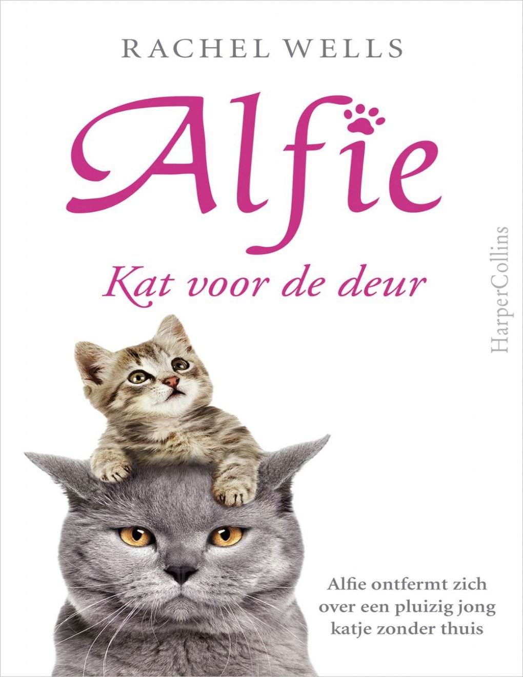 Cover of Kat voor de deur (2016)