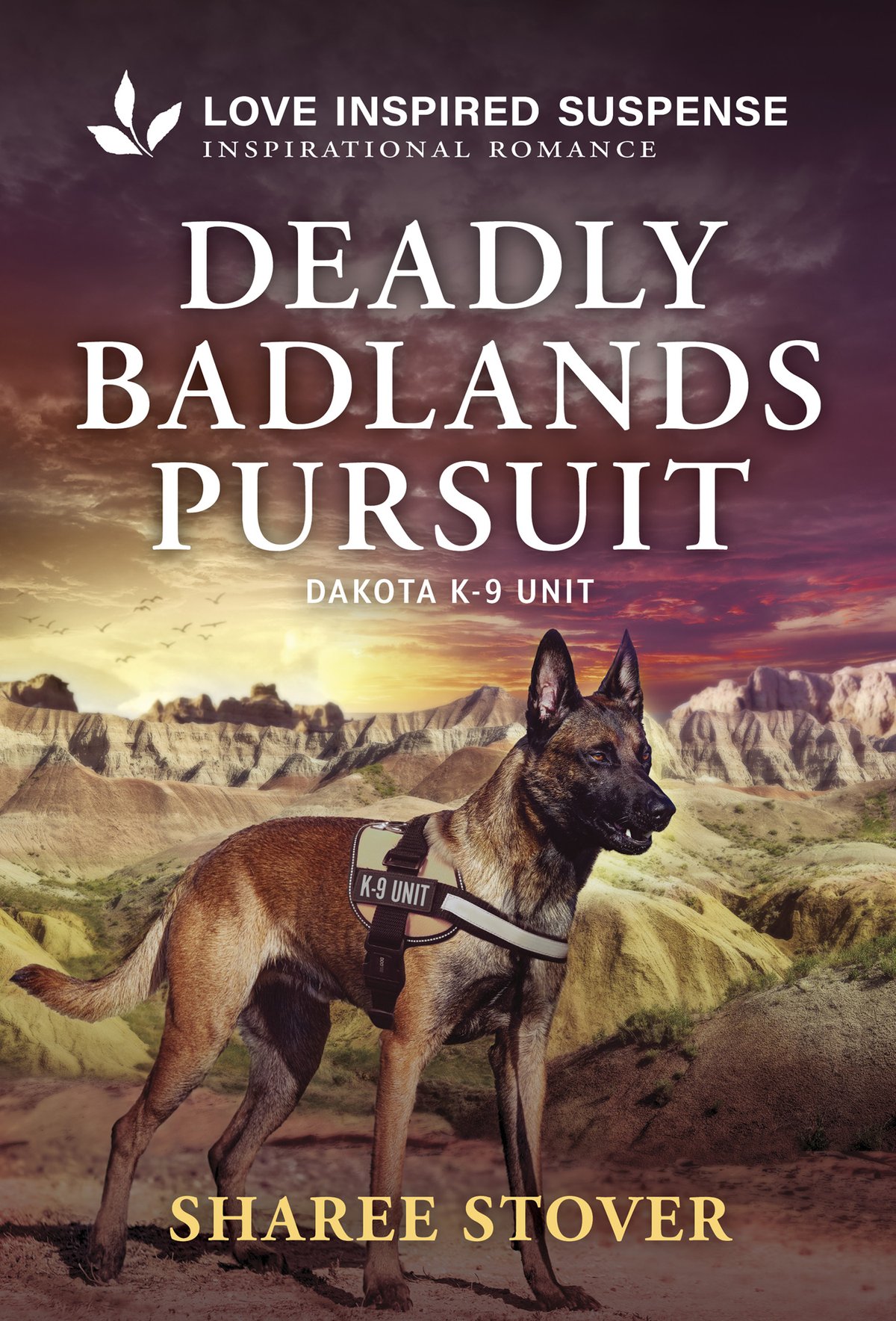 Cover of Deadly Badlands Pursuit