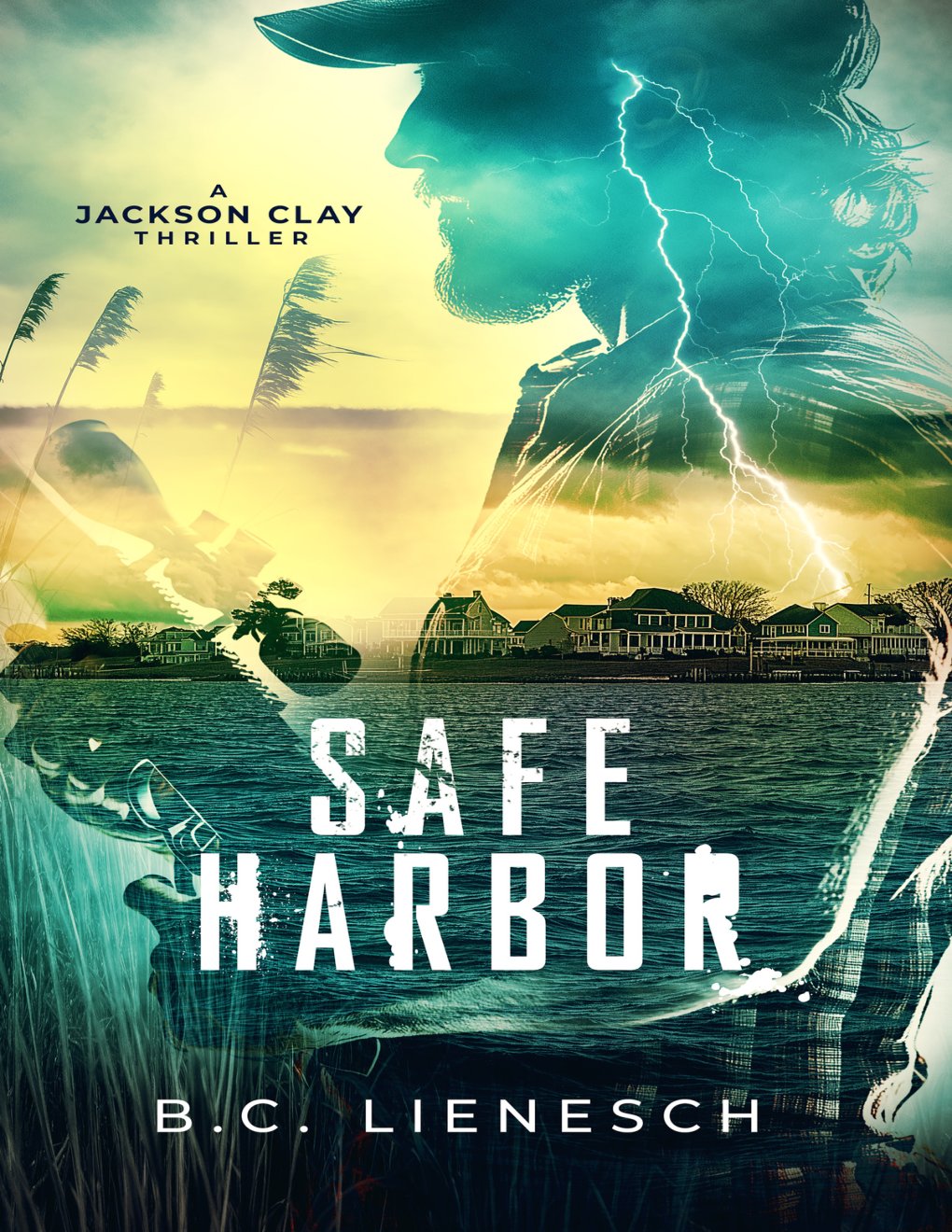 Cover of Safe Harbor (2024)