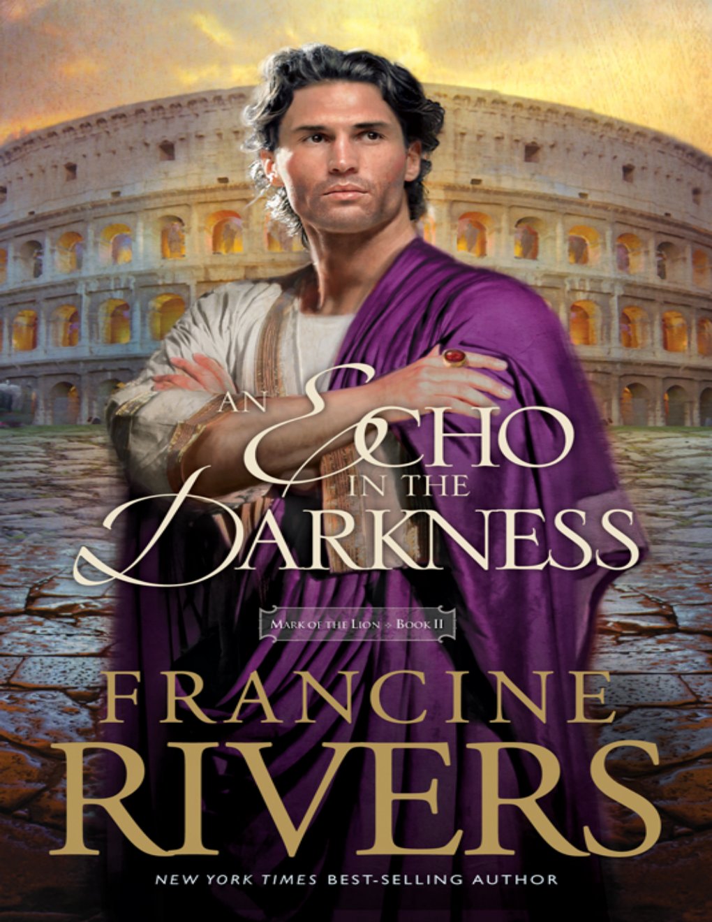 Cover of An Echo in the Darkness