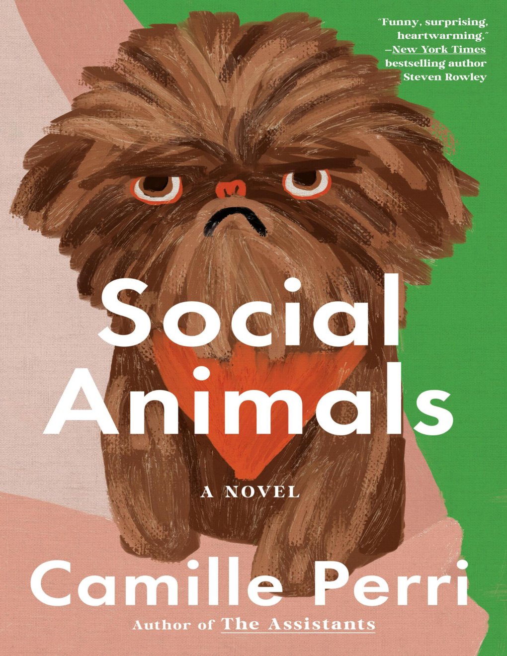 Cover of Social Animals