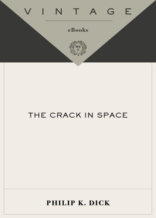 Cover of The Crack in Space