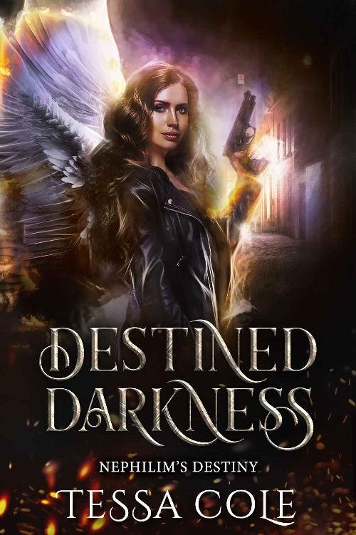 Cover of Destined Darkness