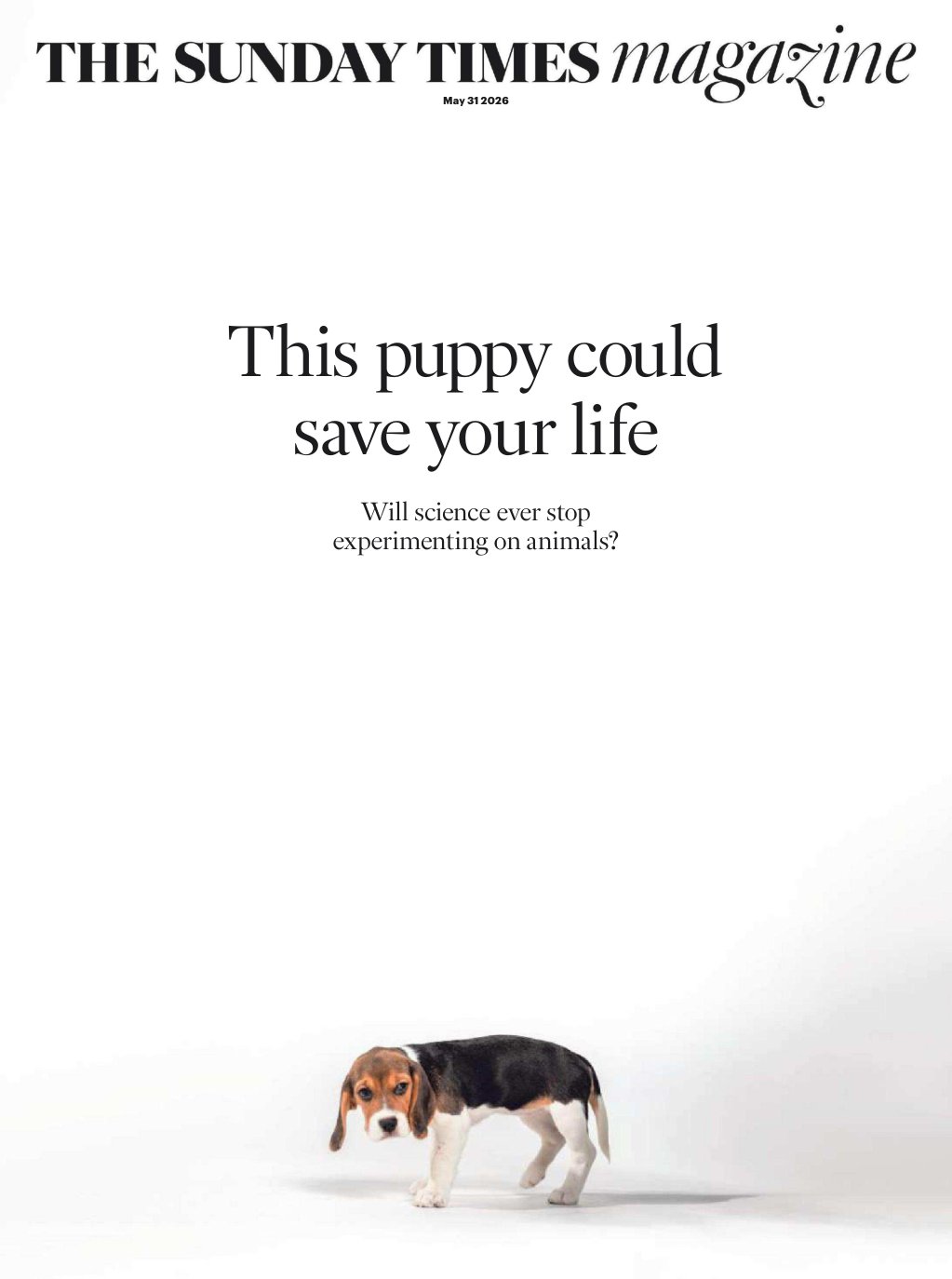 Cover of This puppy could