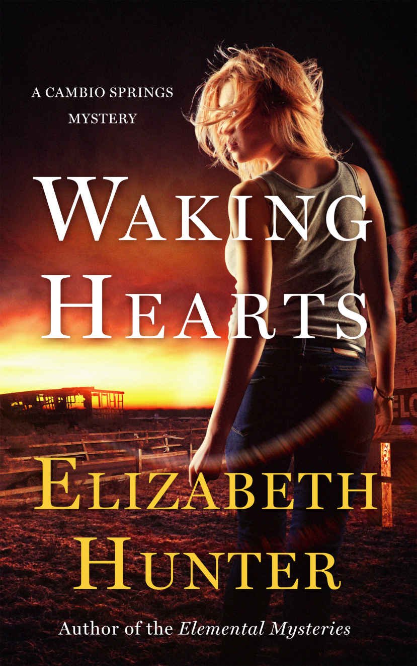 Cover of Waking Hearts