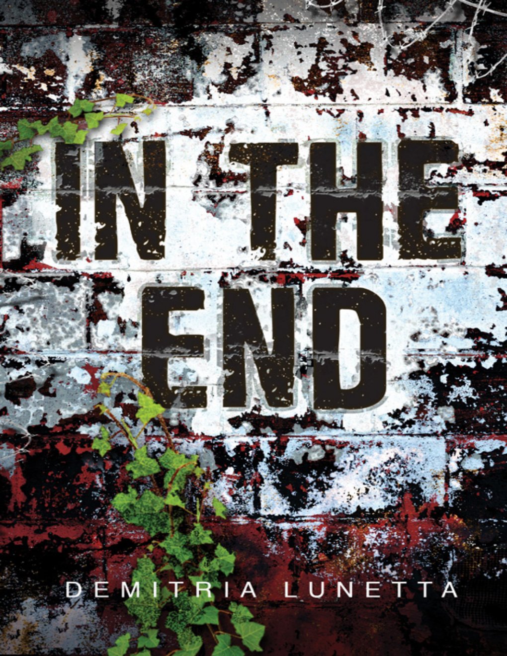 Cover of In the End
