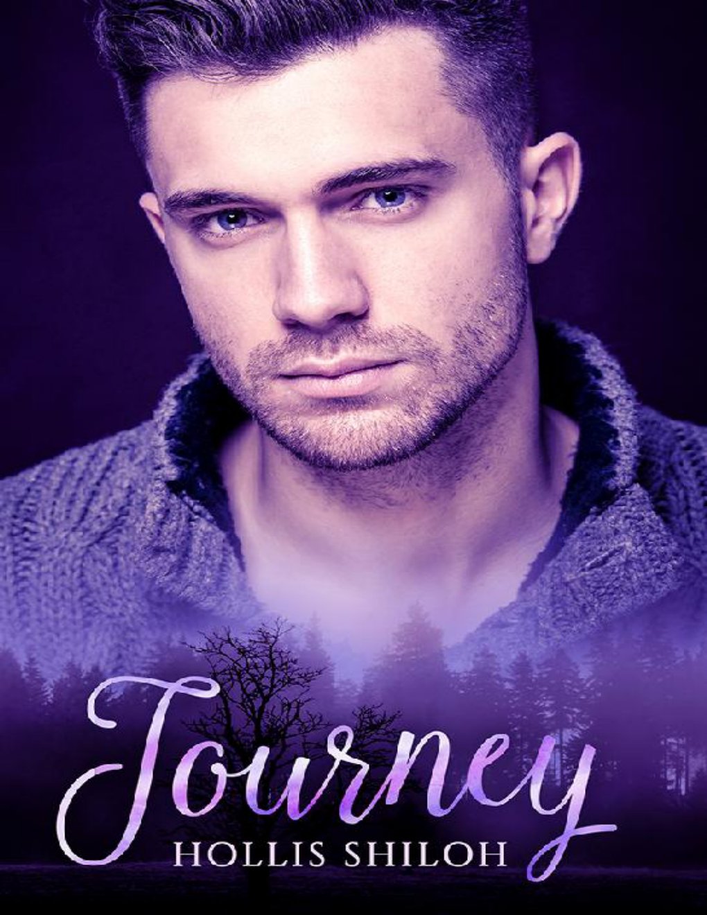 Cover of Journey (2016)