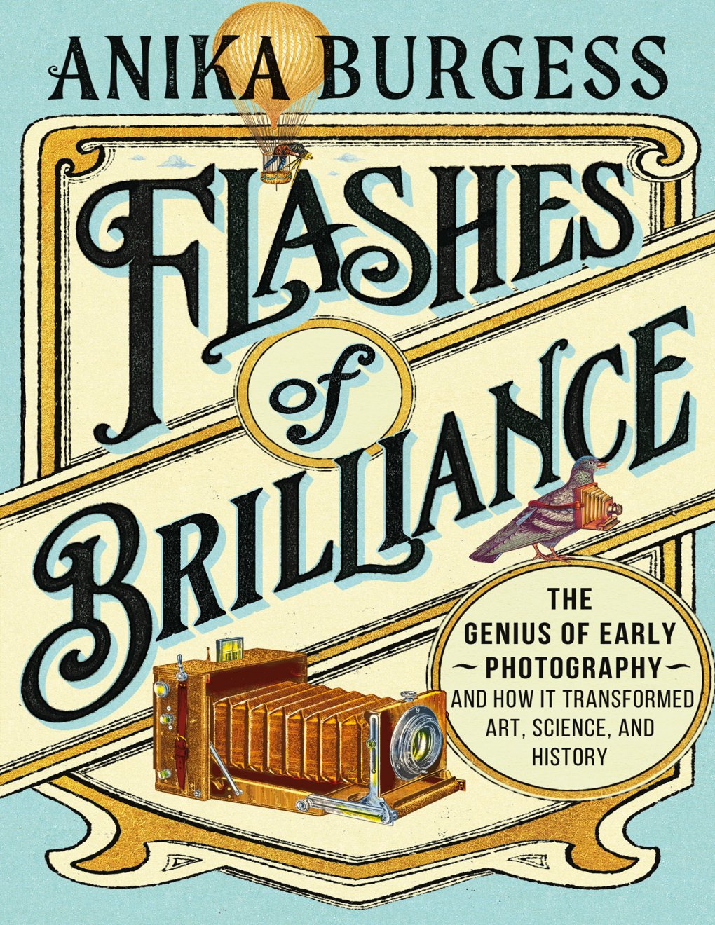 Cover of Flashes of Brilliance